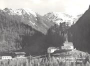bosco (Positivo) di Foto Edizioni Ghedina (1950/01/01 - 1979/12/31)