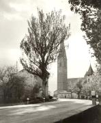 chiesa (Positivo) di Foto E. Pedrotti, Bozen (1930/01/01 - 1965/12/31)