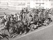 botte (Positivo) di Foto Siragusa (Magnabosco), Bz (1950/01/01 - 1969/12/31)