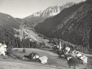 bosco (Positivo) di Foto Edizioni Ghedina (1950/01/01 - 1979/12/31)