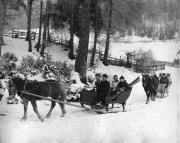 Schlitten (Positivo) di Foto Rapid, Bruneck (1950/01/01 - 1968/12/31)