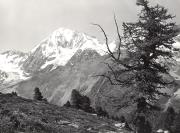 valigetta (Positivo) di Foto Edizioni Ghedina (1950/01/01 - 1979/12/31)