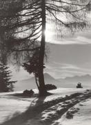 Lärche (Positivo) (1950/01/01 - 1979/12/31)