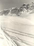 Wintersport, Skispuren im Schnee (Positivo) di Foto Fränzl (1930/01/01 - 1959/12/31)