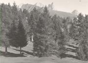 prato (Positivo) di Foto A. Ambrosi, Bozen (1920/01/01 - 1939/12/31)