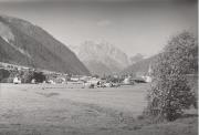 bosco (Positivo) (1950/01/01 - 1969/12/31)