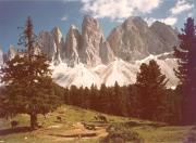 Nadelwald (Positivo) di Foto Löbl, Bad Tölz/Oberbayern (1950/01/01 - 1979/12/31)