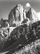 Lärche (Positivo) di Foto Wenzel Fischer, Garmisch (1950/01/01 - 1979/12/31)