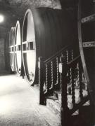 Weinkellerei (Positivo) di Foto Hermann Frass, Bozen (1950/01/01 - 1979/12/31)