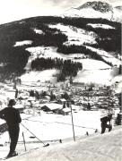 bosco (Positivo) di Foto Sandro Saltuari, Bozen (1950/01/01 - 1979/12/31)