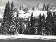 prato (Positivo) di Foto Löbl, Bad Tölz/Oberbayern (1950/01/01 - 1979/12/31)