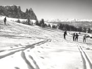 sport invernale (Positivo) di Foto Löbl, Bad Tölz/Oberbayern (1950/01/01 - 1979/12/31)