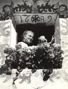 geranio (Positivo) di Foto Hermann Frass, Bozen (1950/01/01 - 1979/12/31)