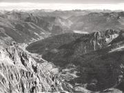 bosco (Positivo) (1950/01/01 - 1979/12/31)
