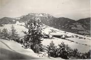 bosco (Positivo) di Foto Misinato, Seis (1925/01/01 - 1939/12/31)