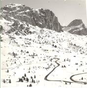 Pass (Positivo) (1950/01/01 - 1979/12/31)