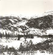 bosco (Positivo) (1950/01/01 - 1979/12/31)