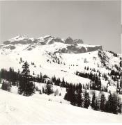 Skipisten (Positivo) (1950/01/01 - 1979/12/31)