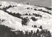 prato (Positivo) di Foto Edizioni Ghedina (1950/01/01 - 1969/12/31)