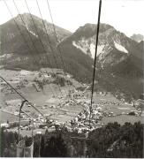 bosco (Positivo) (1950/01/01 - 1969/12/31)