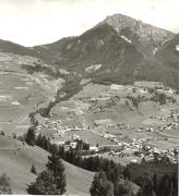 bosco (Positivo) (1950/01/01 - 1969/12/31)