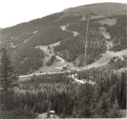 bosco (Positivo) (1950/01/01 - 1979/12/31)
