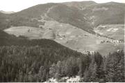 bosco (Positivo) (1950/01/01 - 1979/12/31)