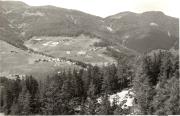 bosco (Positivo) (1950/01/01 - 1979/12/31)