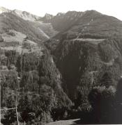 bosco (Positivo) (1950/01/01 - 1979/12/31)