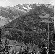 bosco (Positivo) (1950/01/01 - 1979/12/31)