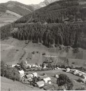 bosco (Positivo) (1950/01/01 - 1979/12/31)