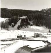 bosco (Positivo) (1950/01/01 - 1979/12/31)