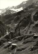 bosco (Positivo) (1950/01/01 - 1979/12/31)