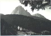 Nadelwald (Positivo) di Foto Edizioni Ghedina (1950/01/01 - 1962/09/28)