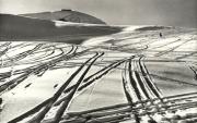 Wintersport, Skispuren im Schnee (Positivo) di Foto Edizioni Ghedina (1950/01/01 - 1969/12/31)