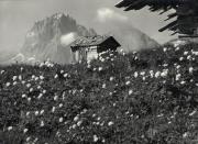 baita (Positivo) di Foto Edizioni Ghedina (1950/01/01 - 1969/12/31)