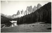 Almhütte Zanser Alm (Villnöß) (Positivo) di Foto E. Pedrotti, Bozen (1950/01/01 - 1969/12/31)