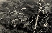 vitigno (Positivo) (1950/01/01 - 1969/12/31)