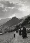 Heuernte (Grasernte) (Positivo) di Foto Müller-Brunke, Chiemgau (1950/01/01 - 1969/12/31)