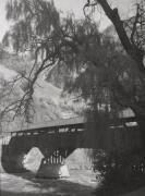 ponte (Positivo) di Foto Gostner, Bozen (1950/01/01 - 1969/12/31)