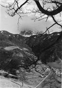 prato (Positivo) di Foto M. Rinaldini, Brixen (1930/01/01 - 1969/12/31)