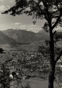 bosco (Positivo) (1950/01/01 - 1969/12/31)
