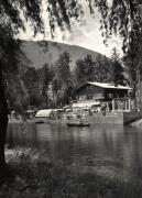 Fischzucht (Positivo) di Foto Edizioni Ghedina (1950/01/01 - 1969/12/31)