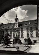 Nadelbaum (Positivo) di Foto Edizioni Ghedina (1950/01/01 - 1969/12/31)