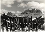 Wintersport, Skier (Positivo) di Foto Carlo Albasini, Brixen (1950/01/01 - 1969/12/31)
