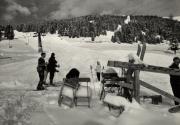 Skifahrer (Positivo) di Foto Edizioni Ghedina (1950/01/01 - 1969/12/31)