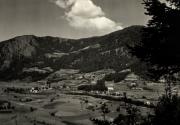 bosco (Positivo) (1950/01/01 - 1969/12/31)