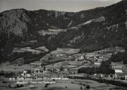 bosco (Positivo) (1950/01/01 - 1969/12/31)