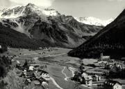 bosco (Positivo) di Foto Edizioni Ghedina (1950/01/01 - 1979/12/31)