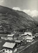 bosco (Positivo) di Foto Edizioni Ghedina (1950/01/01 - 1979/12/31)